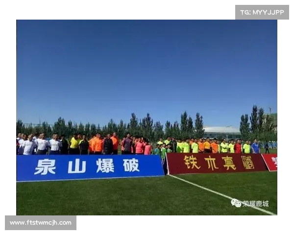 法甲联赛上座率分析与各大俱乐部球迷支持情况探讨